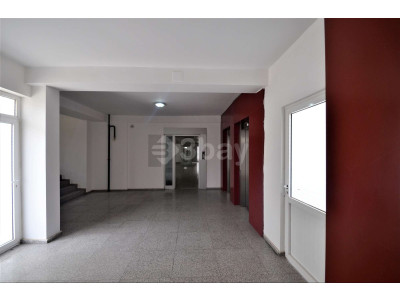 b1.JPG