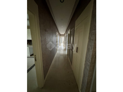 CEDD7A17-BC39-492A-93E0-B7749919AF90.jpg