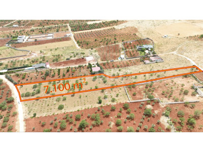Sarısalkım Sınırında Çakal Tapulu Bağ Evi için Uygun
