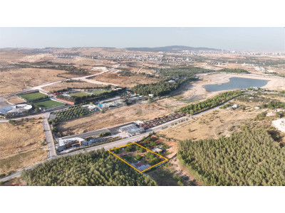 GASKİ Göleti Karşısında, Sarı Salkımda Emsalsiz Konumda