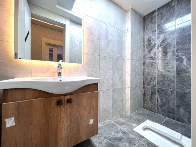 dz.jpg