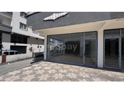 55510BCD-17CC-4FD0-B1F9-D5D3EDF65EA9.jpg